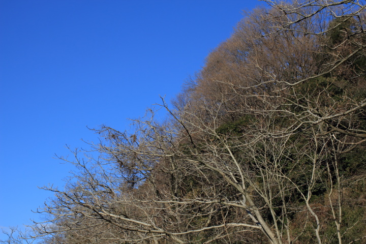 Canon EOS 60D + Canon EF35mm F2 「ピクチャースタイル：風景」